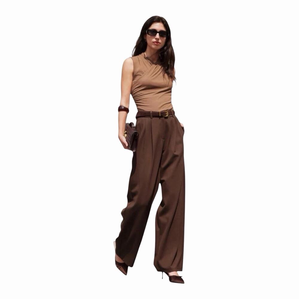 OGL Rich Hickory Brown Pleated Front Wide Leg Tailored Trousers Pants NWT